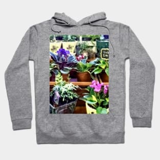 African Violets - African Violets For Sale Hoodie